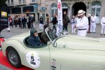 IMG_6826.jpg