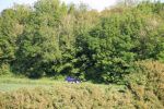 2014-07-02_12-06-34_RCDS.jpg