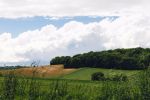 Rallye-Huile2014-7288.jpg