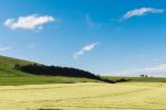 Rallye-Huile2014-7389.jpg