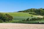 Rallye-Huile2014-7420.jpg