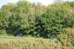 2014-07-02_12-06-22_RCDS.jpg