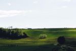 Rallye-Huile2014-7392.jpg