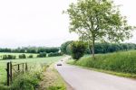 Rallye-Huile2014-6936.jpg