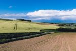 Rallye-Huile2014-7384.jpg
