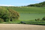 2014-07-02_12-07-24_RCDS.jpg