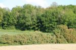 2014-07-02_12-07-04_RCDS.jpg